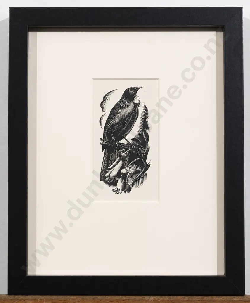 E Mervyn Taylor - Tui Image 1++