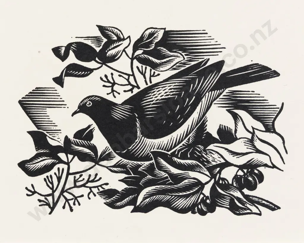 E Mervyn Taylor - Bush Pidgeon (Kereru) Image 1++