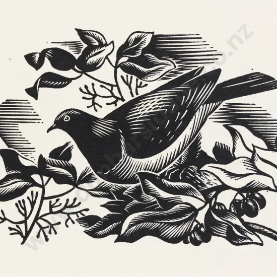 E Mervyn Taylor - Bush Pidgeon (Kereru)