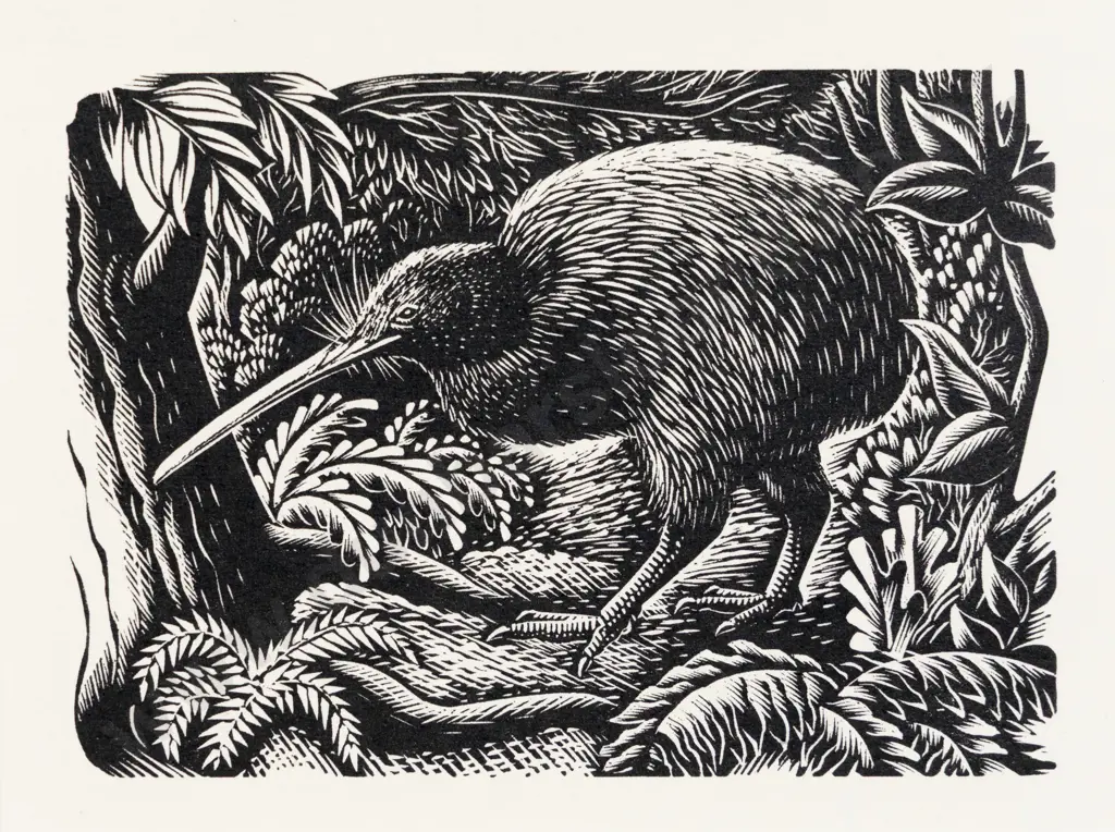 E Mervyn Taylor - Kiwi Image 1++
