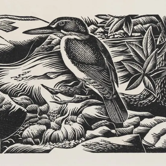 E Mervyn Taylor - Kingfisher