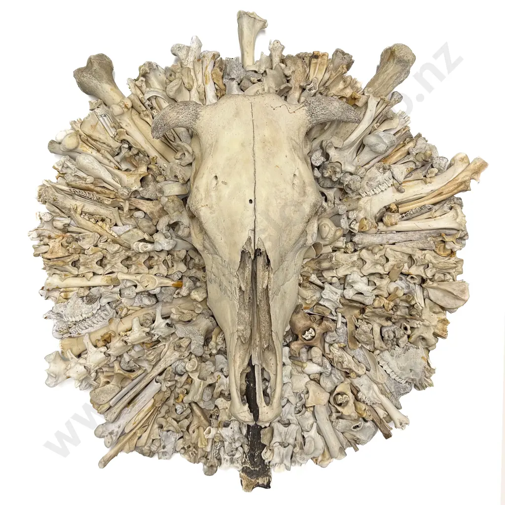 Bruce Mahalski - Bone Art Wall Hanging Image 1++