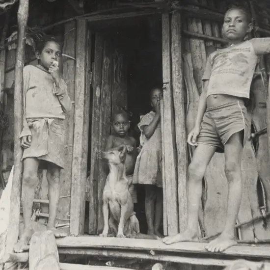 Unknown Photographer - C1980s PNG Village Scene