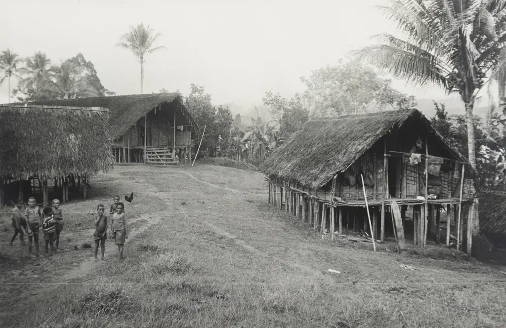 Unknown Photographer - C1980s PNG Village Scene Image 1++