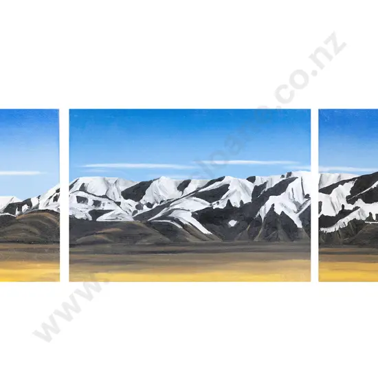 Craig Gallien - Southern Alps
