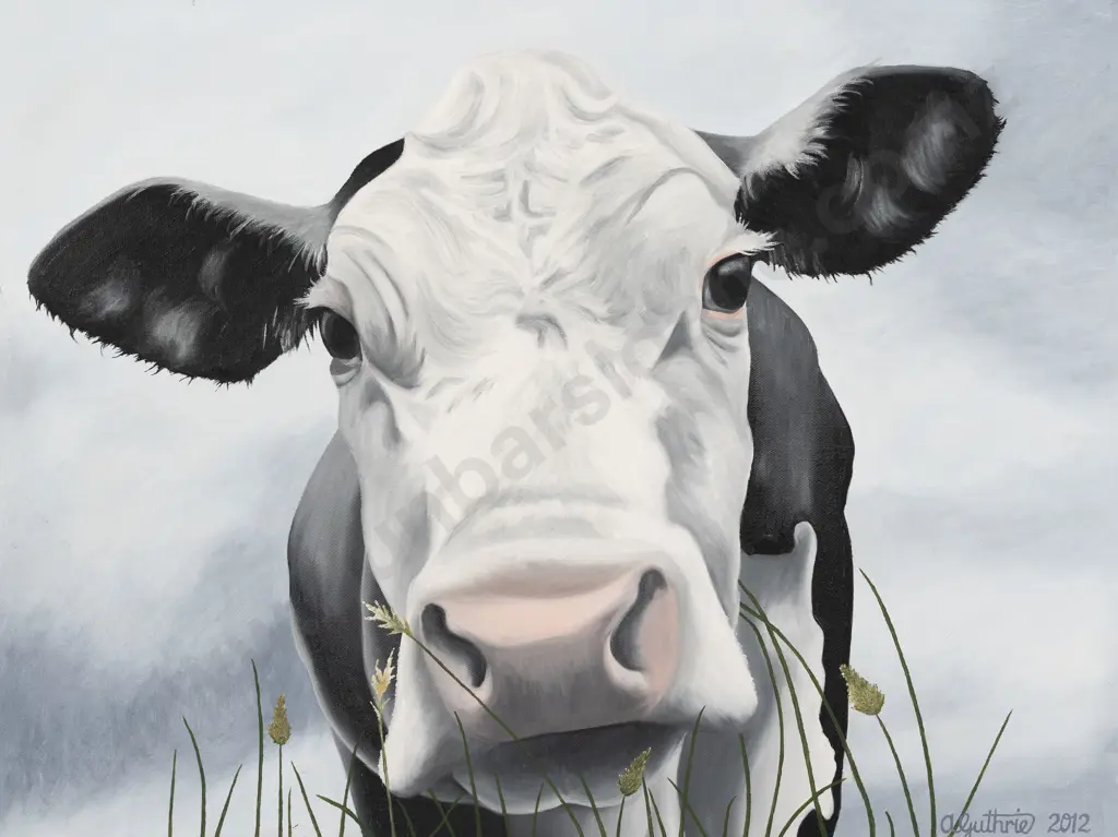 A Guthrie - Nosy Cow Image 1++