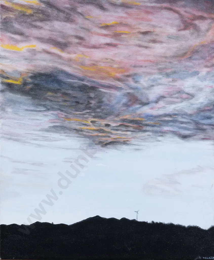 Tanja Halasz - Wellington Landscape Image 1++