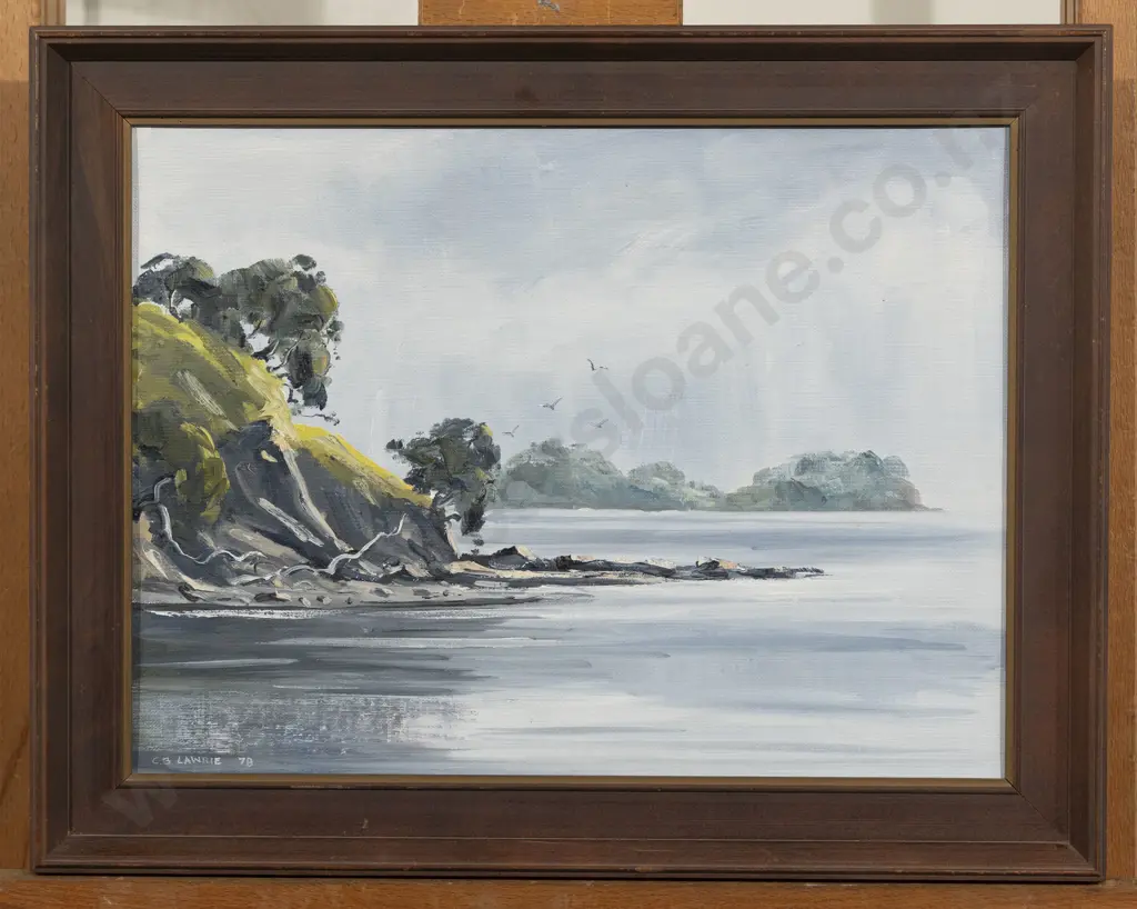 C B Lawrie - Misty Morning - Saddle Island Image 1++