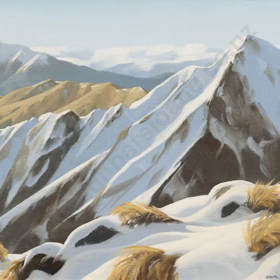 John Rundle - Mt Girdlestone - Tararua Range