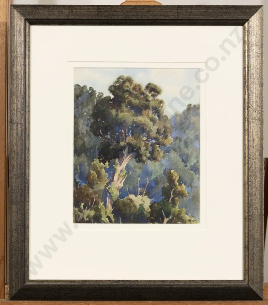 E B Lattey - Old Rata Image 1++