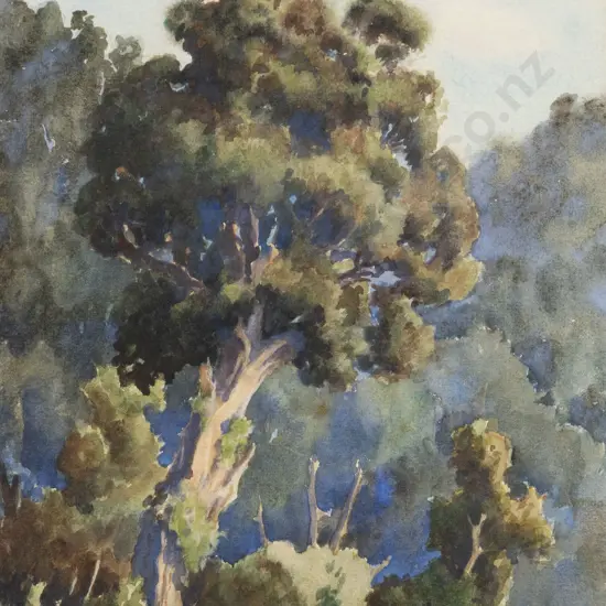 E B Lattey - Old Rata