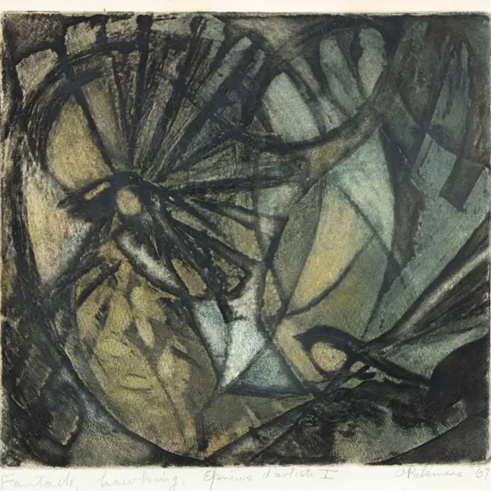 Alison Pickmere - Fantails - Hawking