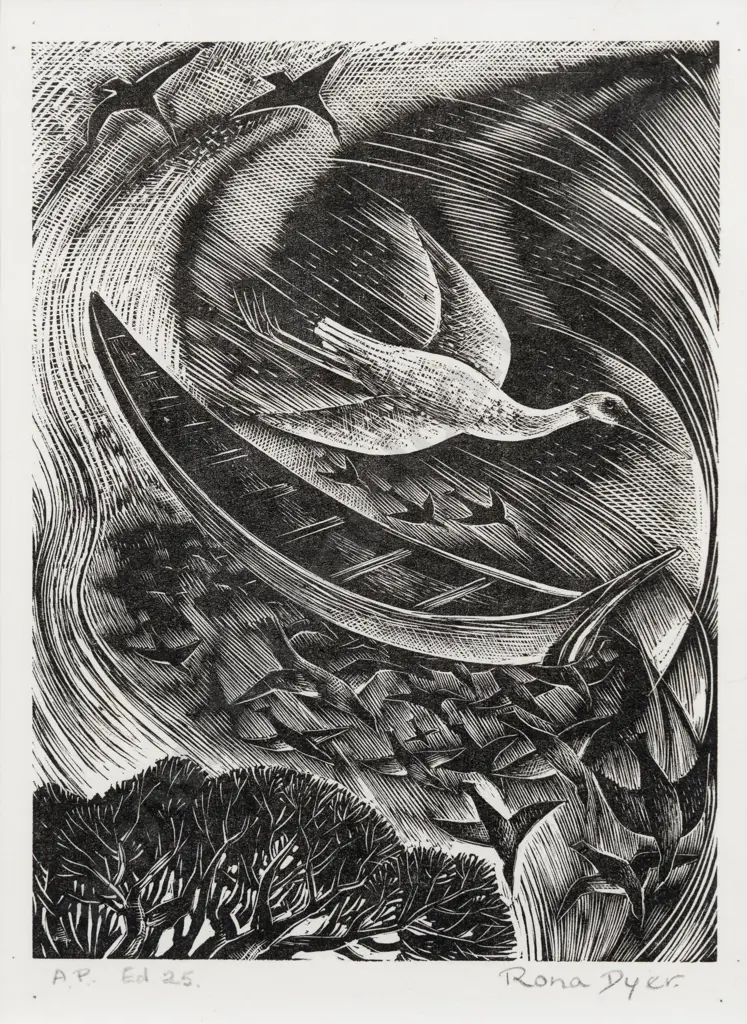 Rona Dyer - Cormorant Image 1++