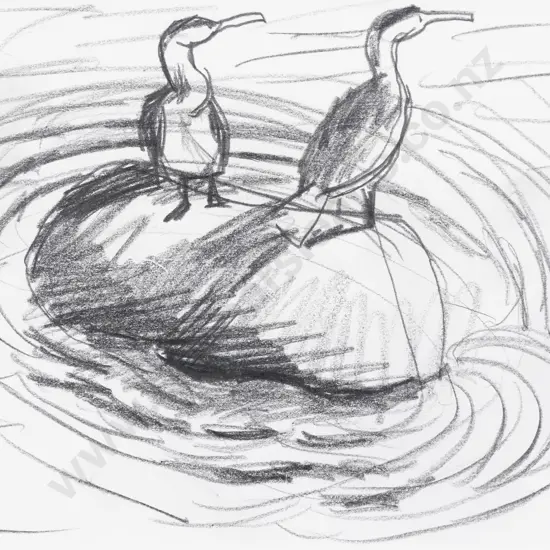 Michael Smither - Two Cormorants