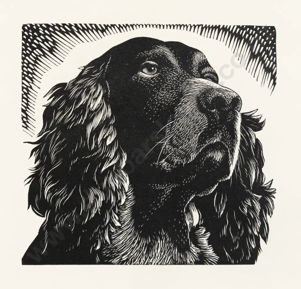 E Mervyn Taylor - Spaniel Image 1++