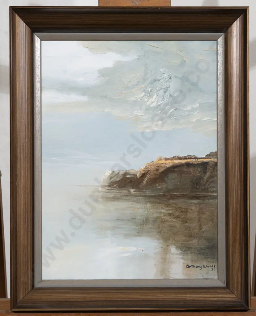 Anthony Warnes - Coastal Landscape Image 1++
