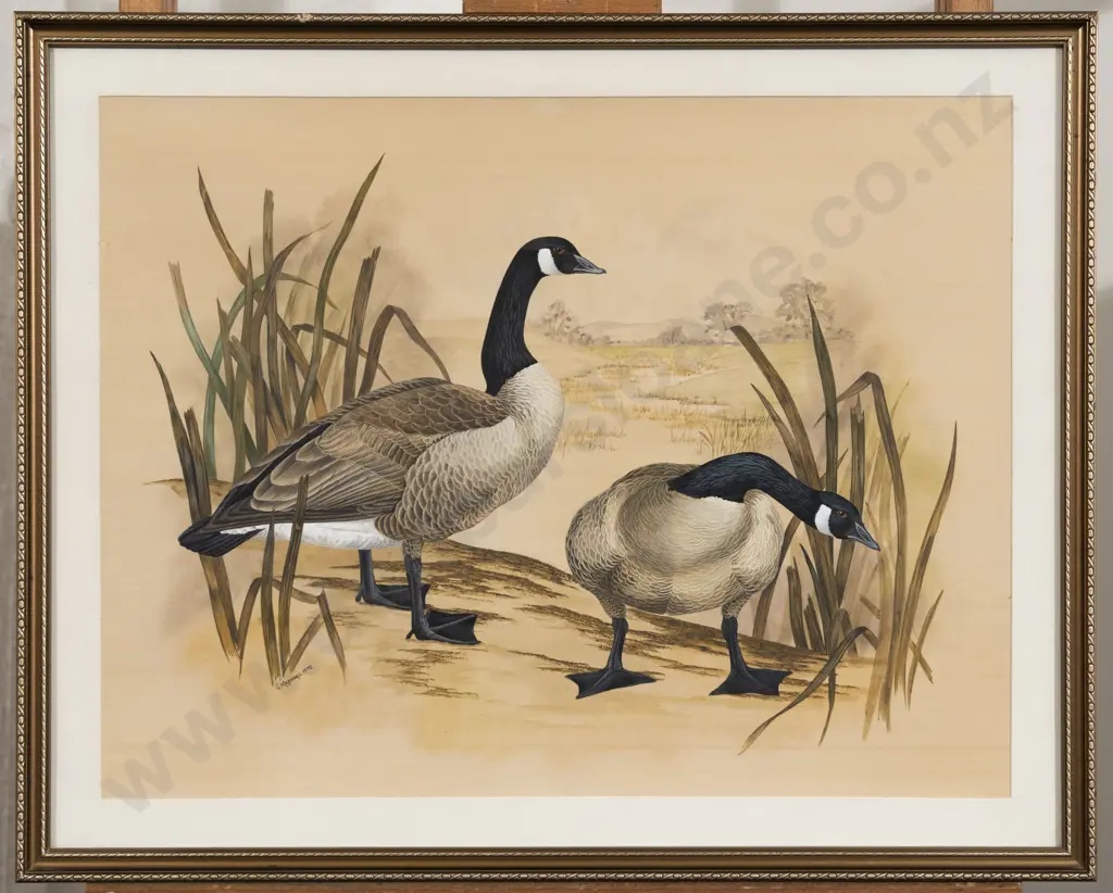 Janet Marshall - Canada Goose Image 1++