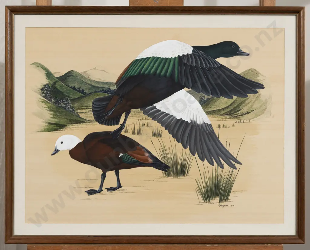 Janet Marshall - Paradise Duck Image 1++