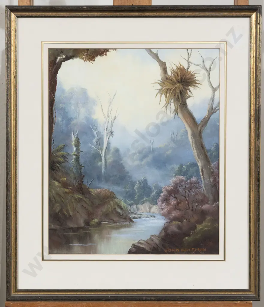 Joan Coleman - Valley Mists in the Coromandels Image 1++