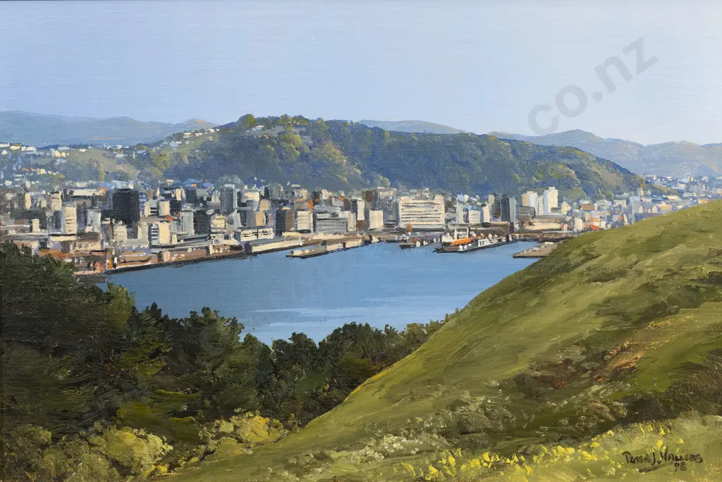 Peter Wallers - Wellington City from Mt Victoria Image 1++