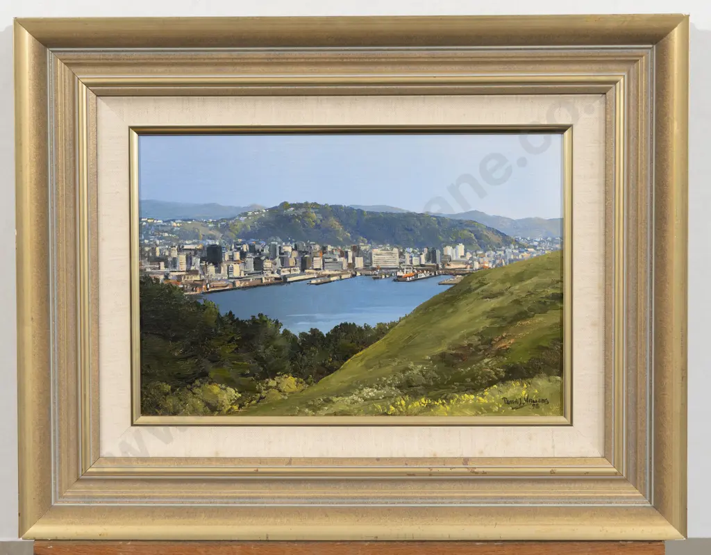 Peter Wallers - Wellington City from Mt Victoria Image 1++