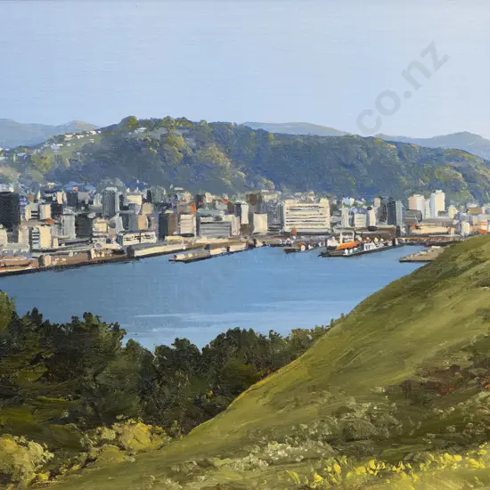 Peter Wallers - Wellington City from Mt Victoria