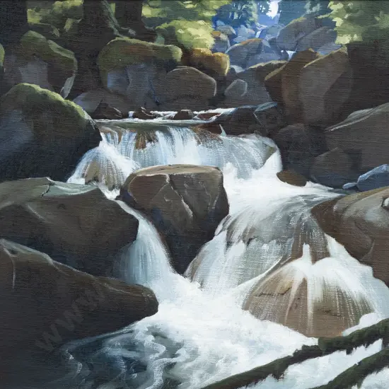 John Rundle - Papa Stream - Tararua Range