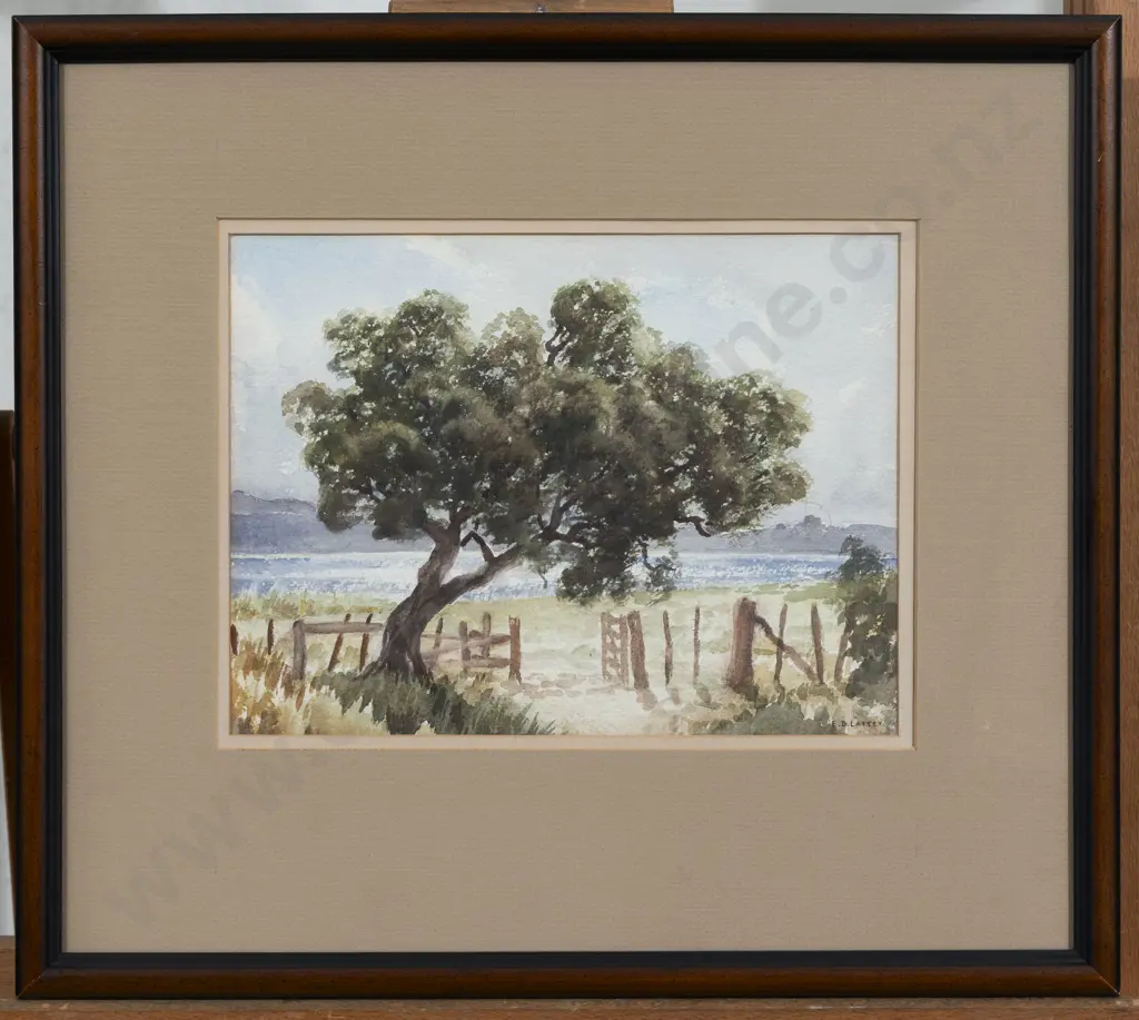 E B Lattey - Old Rata Image 1++