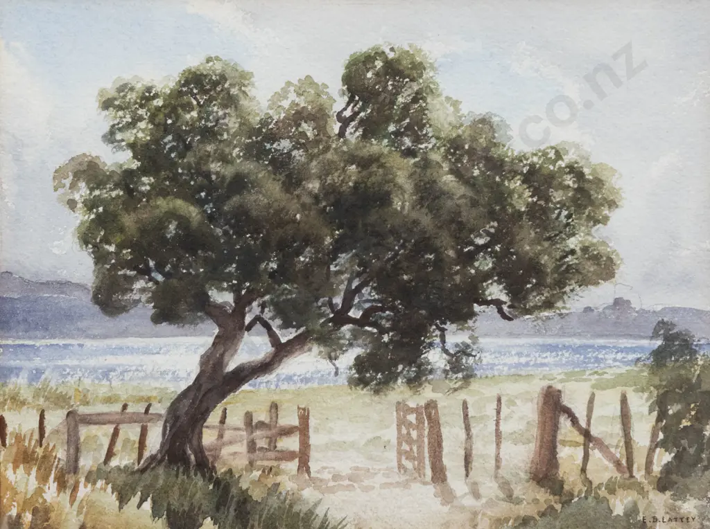 E B Lattey - Old Rata Image 1++
