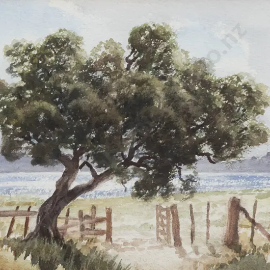 E B Lattey - Old Rata