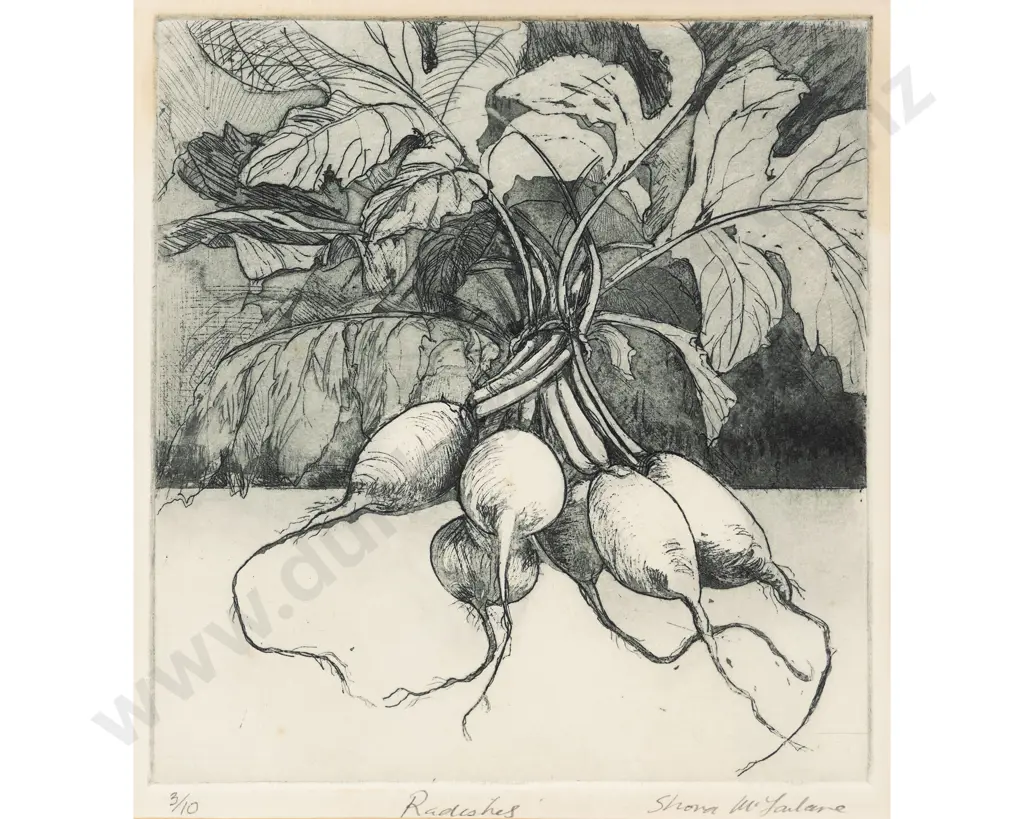 Shona McFarlane - Radishes Image 1++