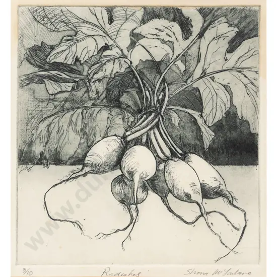 Shona McFarlane - Radishes