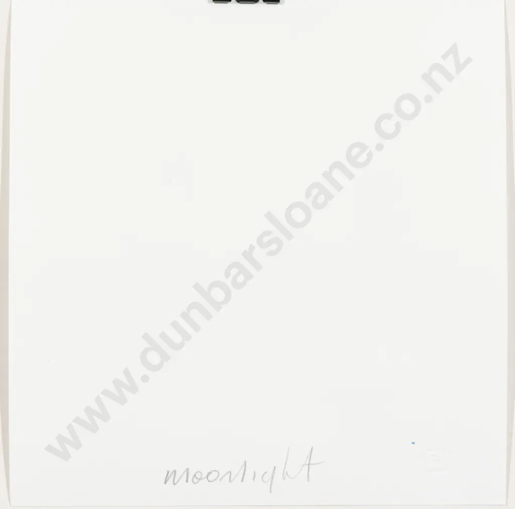Michael Smither - Moonlight (unframed) Image 1++