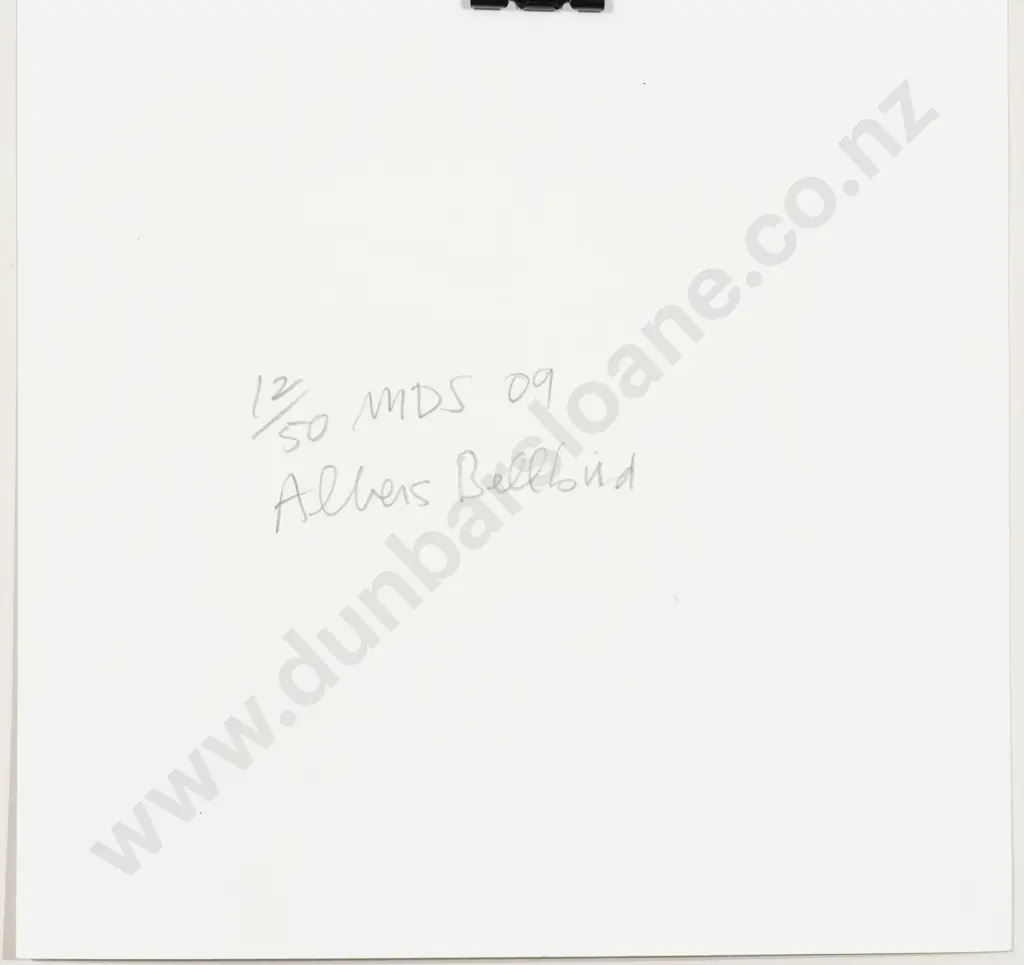 Michael Smither - Albers Bellbird (unframed) Image 1++