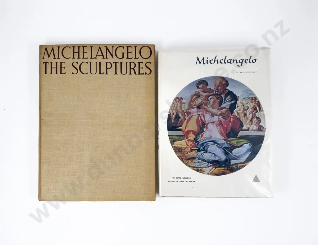 Two Michelangelo Reference Volumes Image 1++