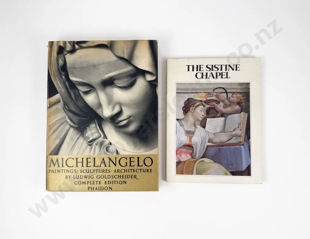 Two Michelangelo Reference Volumes Image 1++