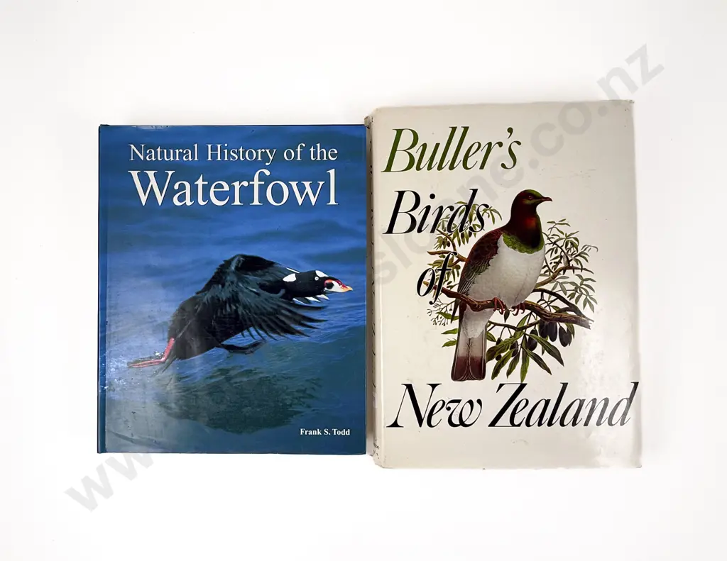 Buller's Birds of New Zealand & Other Image 1++