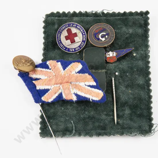 NZ Model Aeronautical Association Lapel Pin