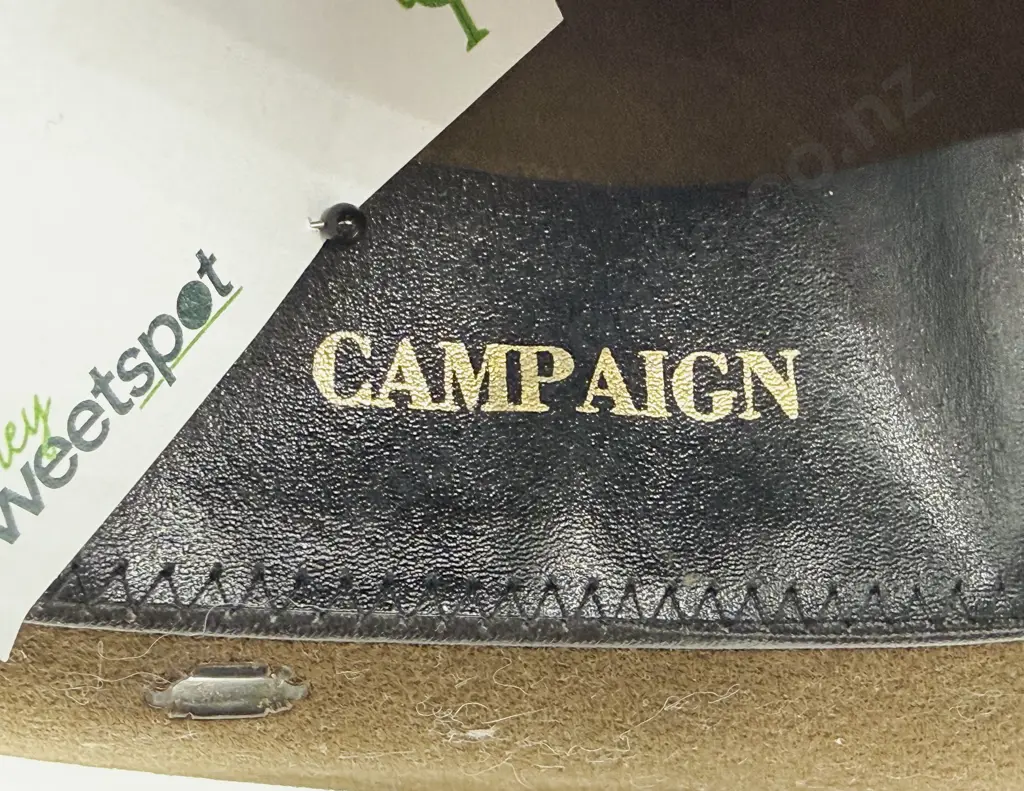 US Campaign Hat Image 1++