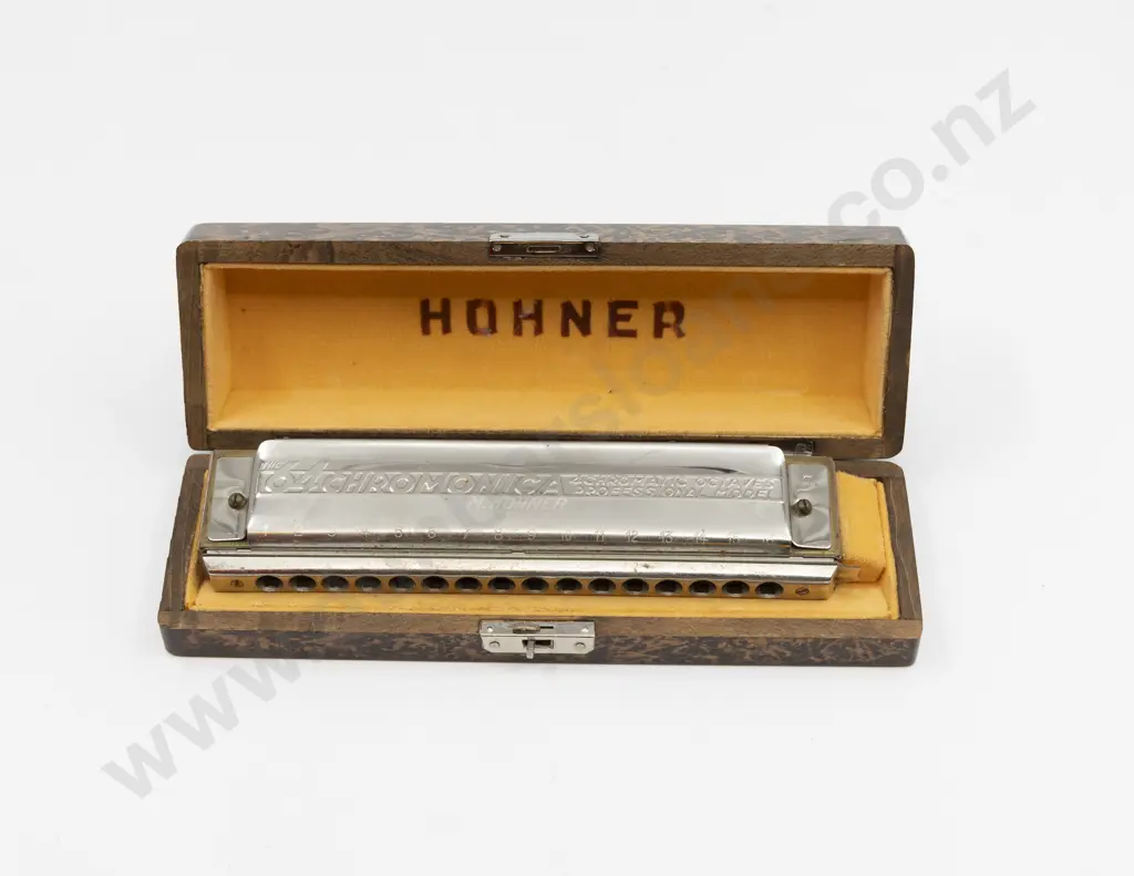 Cased Horner Mouth Organ Image 1++
