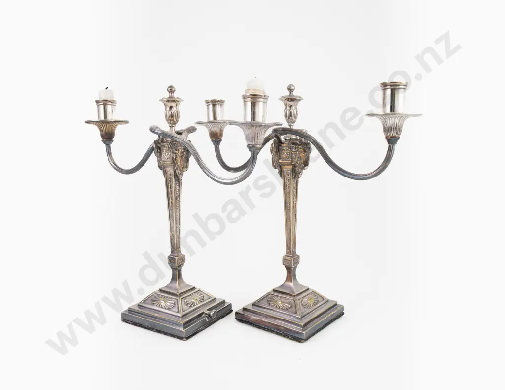 An Elegant Pair Of S/P Two Branch Candleabra Image 1++