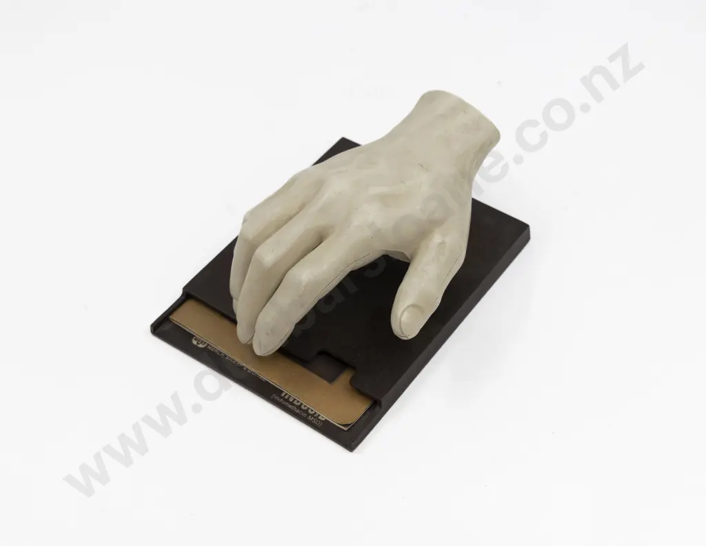 Merrick Sharp & Dohme Hard Plastic Teaching Human Hand Image 1++