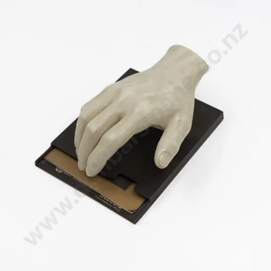 Merrick Sharp & Dohme Hard Plastic Teaching Human Hand