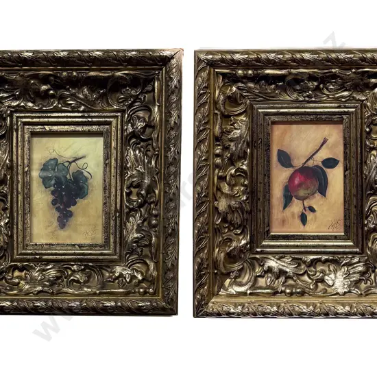 D Hobbs - Pair of Ornately Framed Botanical Studies