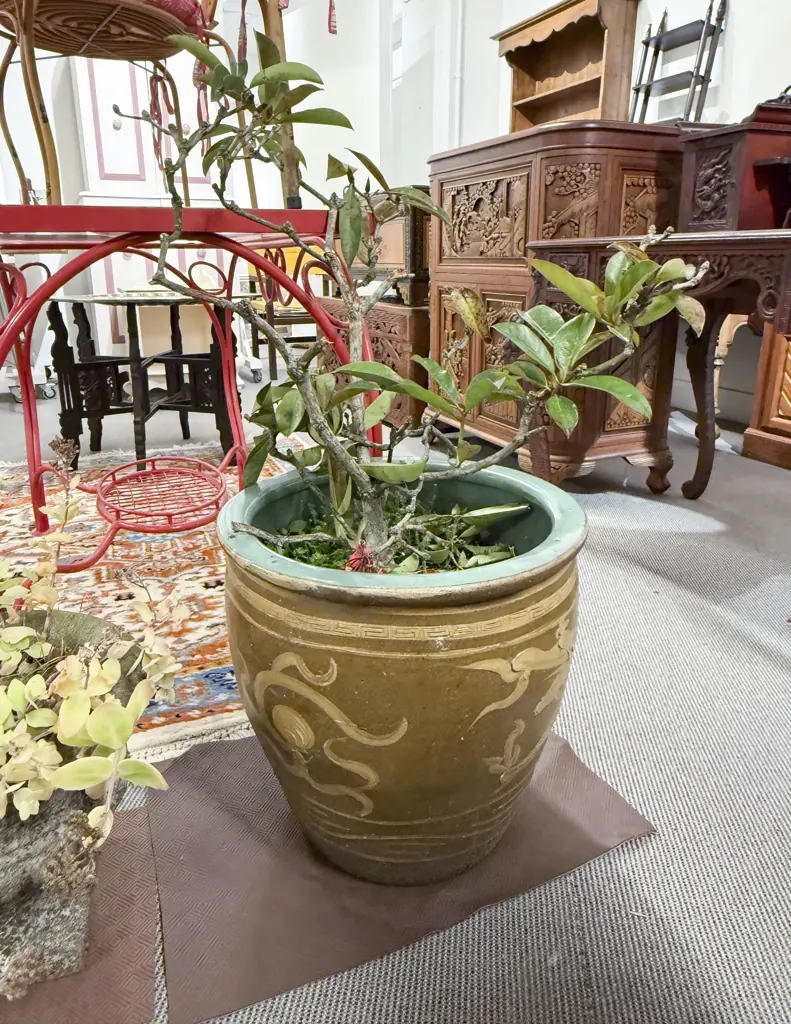 Modern Chinese Dragon Decorated Planter Image 1++