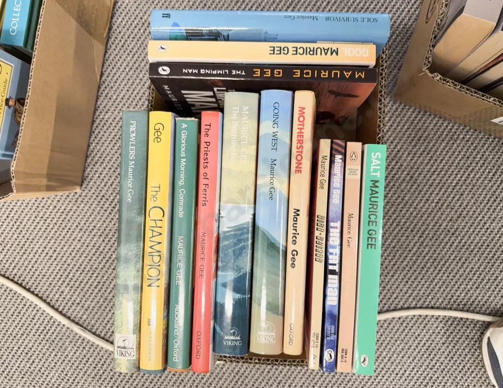 Maurice Gee - Fourteen Assorted Novels Image 1++