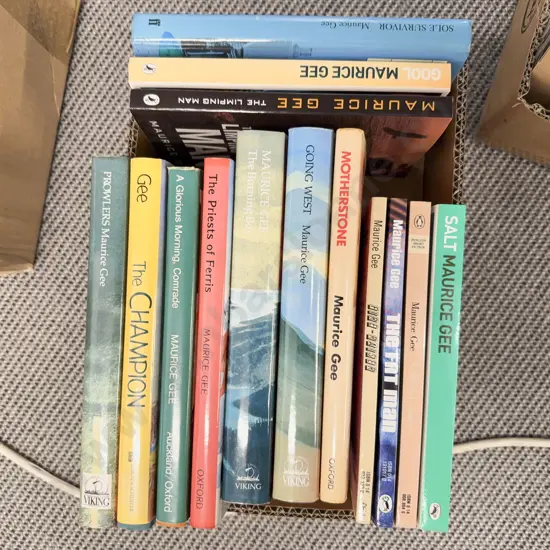 Maurice Gee - Fourteen Assorted Novels