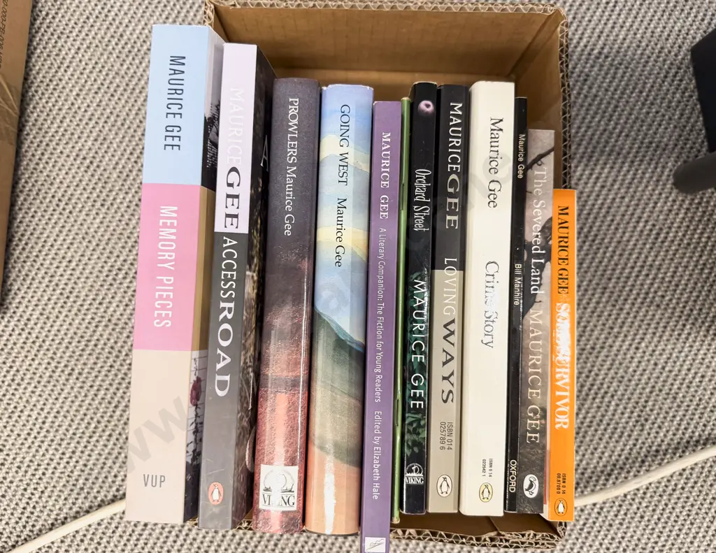 Maurice Gee - Eleven Assorted Novels & Others Image 1++