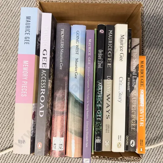 Maurice Gee - Eleven Assorted Novels & Others