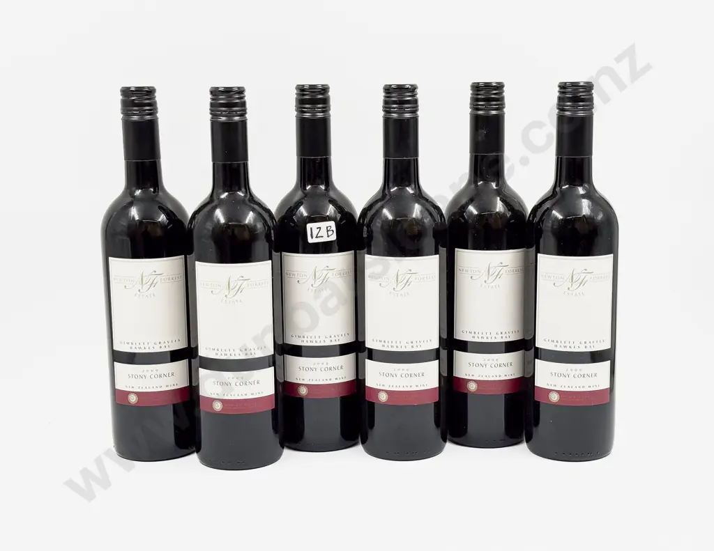 6 Bottles NZ 2009 Newton Forrest Estate Stony Corner Image 1++